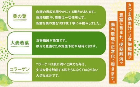 さつま桑青汁 30本×1P 飲みやすい 青汁 大麦若葉 粉末_ss1641_CR