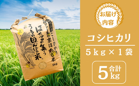 コシヒカリ 5kg 米 お米 京都丹波産 コシヒカリ