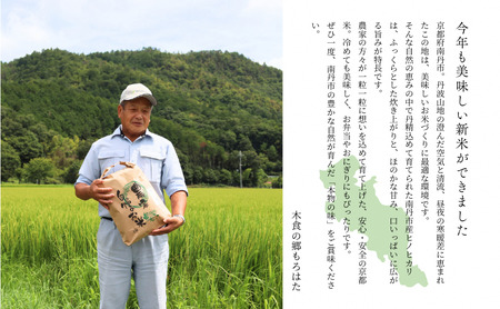 ヒノヒカリ 10kg 米 お米 京都丹波産 ヒノヒカリ
