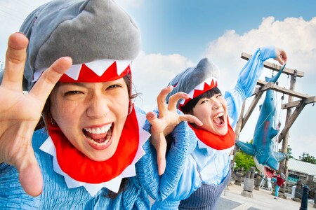 【 USJ 】トワイライト・パス　大人(12歳以上) ユニバーサル・スタジオ・ジャパン_OS294-0011