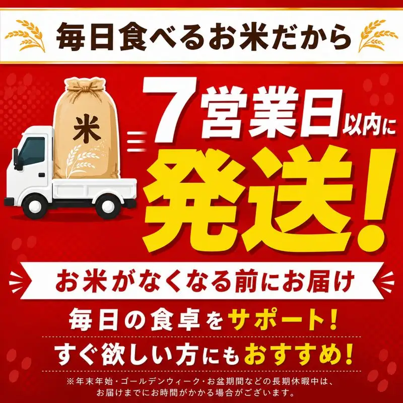 お米 訳あり にじのきらめき 白米 5kg×2P |栃木県 矢板市