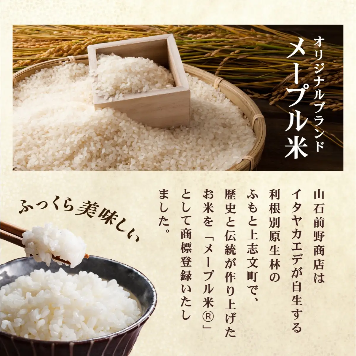 令和7年産 上志文産メープル米「ななつぼし」10kg