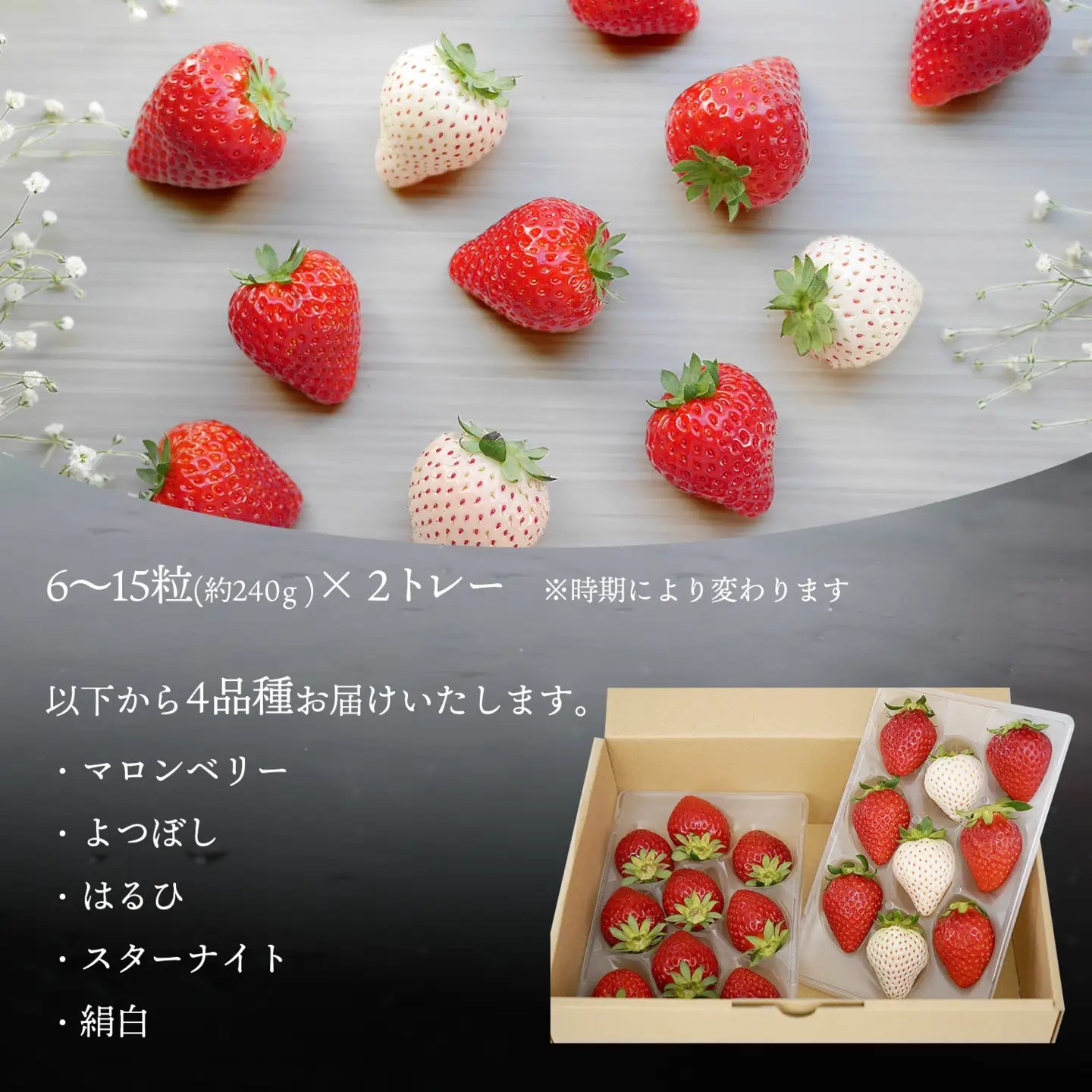 【2026年先行予約】いちご 厳選 4品種食べくらべ 約480g (約240g×2トレー) K2630