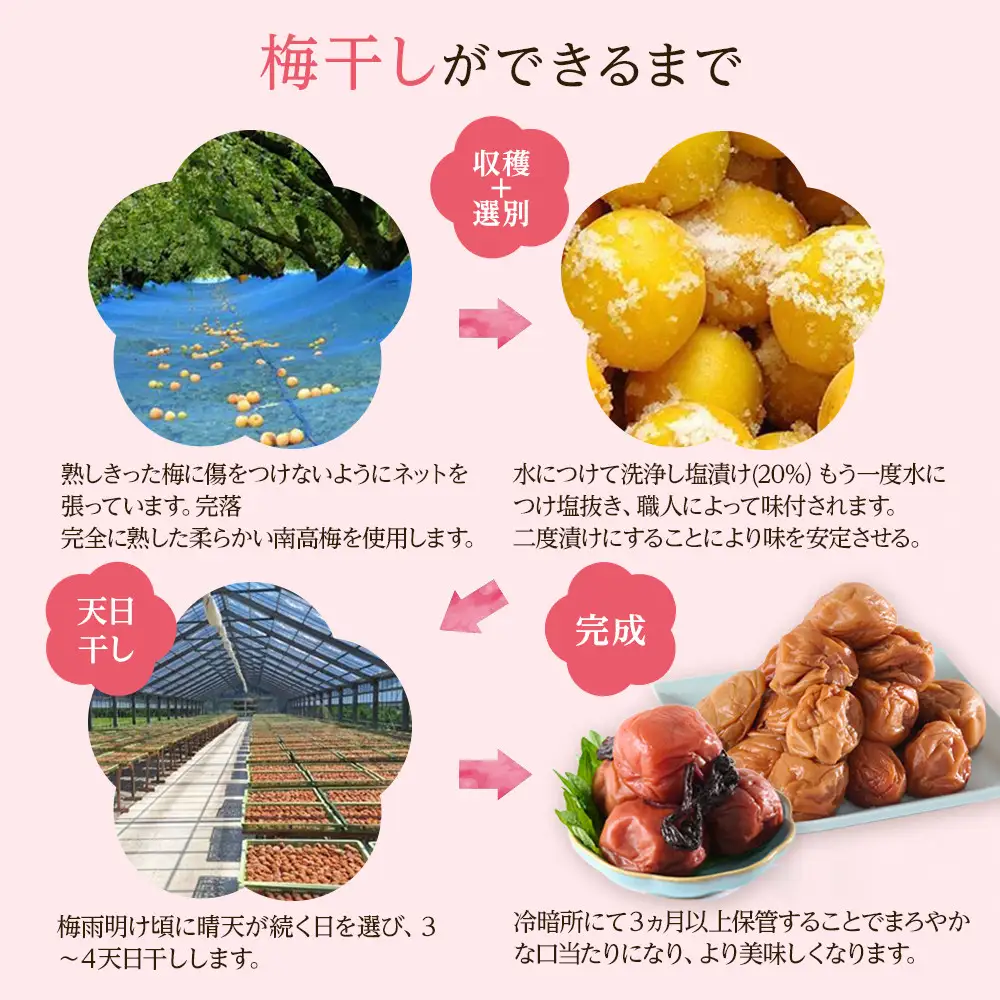 紀州南高梅 紫蘇梅 350g×2 塩分15％