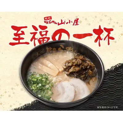 Z54-02 筑豊豚骨らーめん 高菜生ラーメンとんこつ10食セット ラーメン