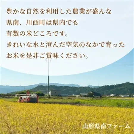 【令和8年産】 山形県産【つや姫】精米 10kg(5kg×2袋)【1672678】