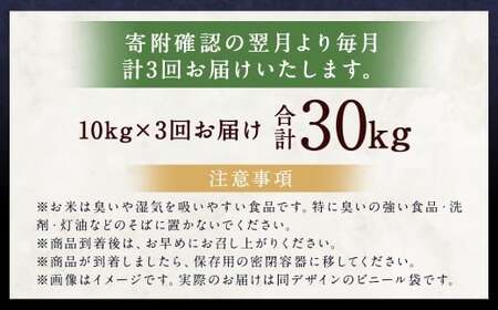 【3ヶ月定期便】らんこし米（ななつぼし）10kg×3回 計30kg お米 米 ななつぼし 精米