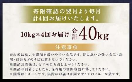 【4ヶ月定期便】らんこし米（ななつぼし）10kg×4回 計40kg お米 米 ななつぼし 精米