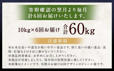 【6ヶ月定期便】らんこし米（ななつぼし）10kg×6回 計60kg お米 米 ななつぼし 精米