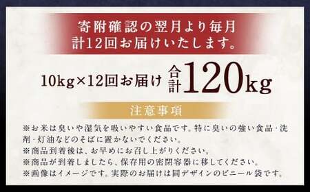【12ヶ月定期便】らんこし米（ななつぼし）10kg×12回 計120kg お米 米 ななつぼし 精米