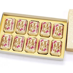 桜井甘精堂 の 栗あん 巣ごもり 10個入 | 和菓子 お菓子 お茶請け 餡子 和風 スイーツ お土産 贈り物 長野県 飯田市 信州