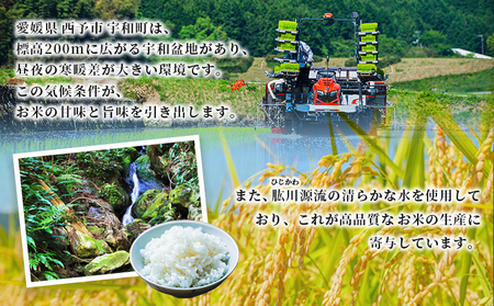 【先行予約】＜令和8年産 愛媛県西予市産 コシヒカリ 5kg（3回定期便）＞ 定期便 お米 コメ こめ 白米 精米 ご飯 新鮮 5キロ 愛媛県産 宇和町産 こしひかり 特産品 もとき農園 愛媛県 西予市【常温】『2026年10月・11月頃から順次発送予定』 UMK0011
