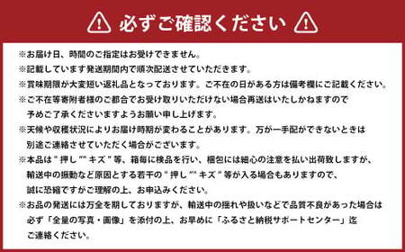 岡山白桃 エース 3玉 × 約200g 計約600g 岡山県産 （早生種・中生種） 【2026年7月上旬～8月下旬迄発送予定】 ／ 白桃 桃 もも 果物 果実 フルーツ 岡山県 美咲町 冷蔵