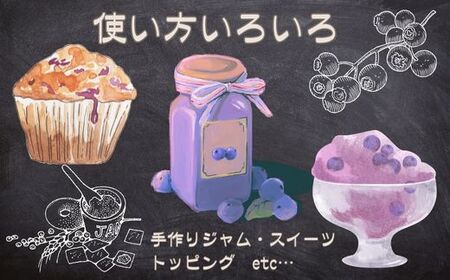 K11　しそうの “ 冷凍 ” ブルーベリー　1kg（500ｇ×2）【 無農薬 冷凍 フローズン アイス ブルーベリー 果物 フルーツ 産地直送 国産 大容量 】
