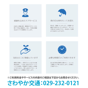 ふるさとのお父様お母様へ　高齢者お助け「お買物代行・同行サービス」補助券3,000円分（500円×6枚）【配達 代行 買い物代行 買い物同行 茨城県 水戸市】（CE-4）