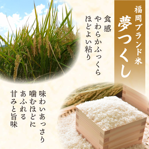 米 令和7年産 夢つくし 12月発送 5kg ｜KMF