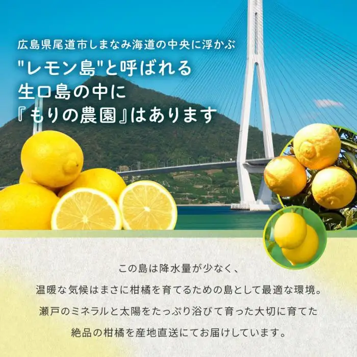 【有機JAS認証】レモン島からお贈りするオーガニックレモン 2kg 有機レモン 2月以降発送予定 産直 国産 有機栽培