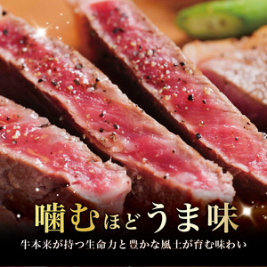 【山形村短角牛消費拡大応援企画品】山形村短角牛まるまる1頭山分けセット（２月発送分）