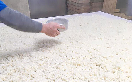 20-02無添加生米麹5kg【新潟産コシヒカリ使用】（五十嵐こうじ屋）