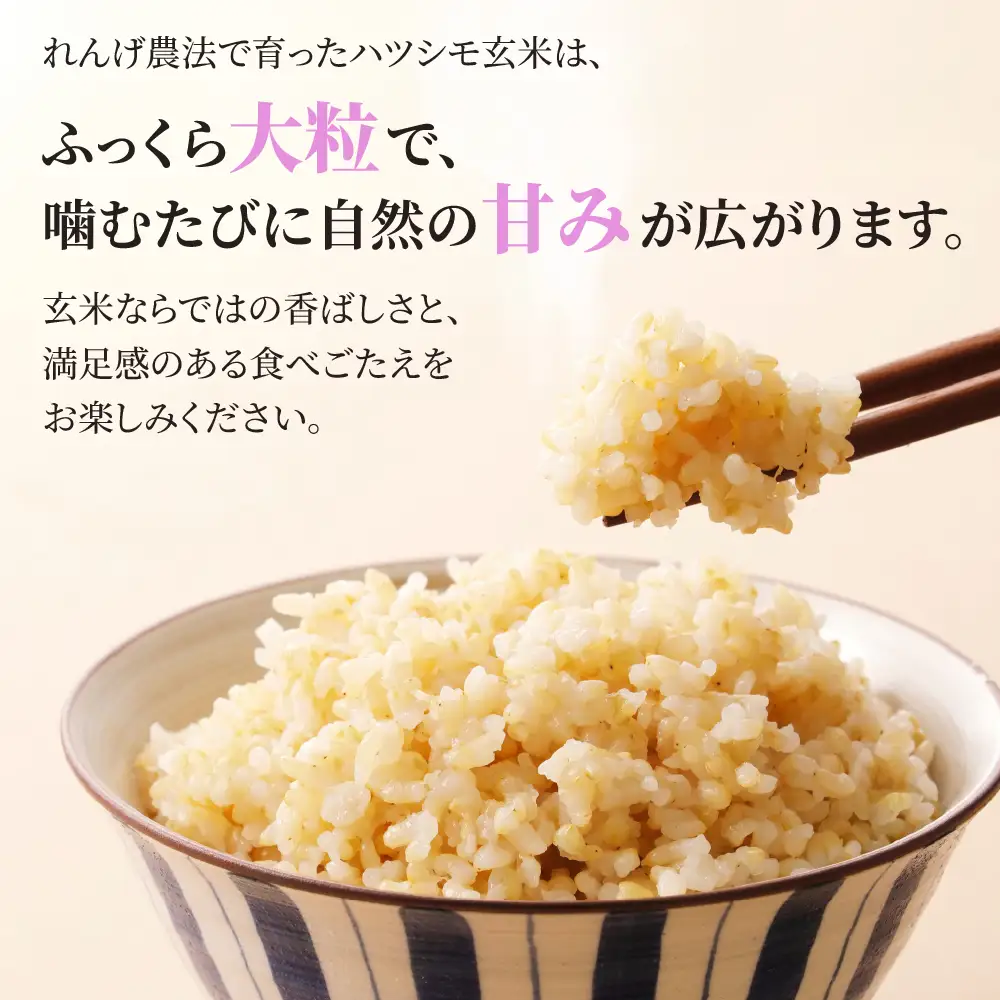 玄米 R7年産 15kg  ハツシモ｜玄米