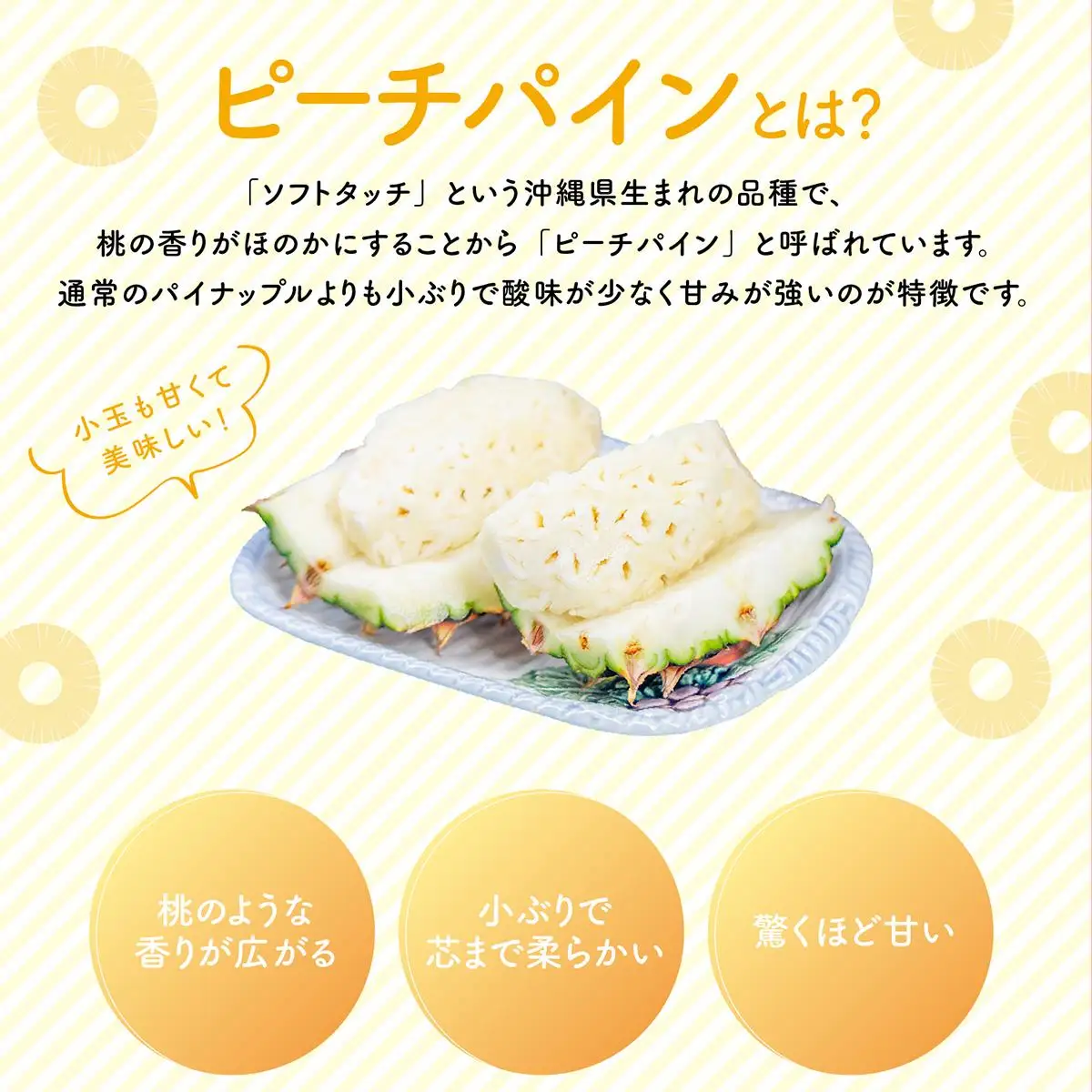 【2027年先行予約】小玉 ピーチパイン 約3kg 