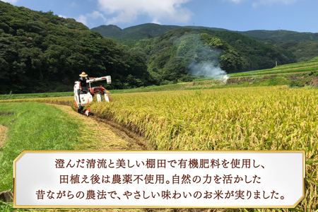 玄米 令和8年 平戸の健康玄米 4kg 黒米 400g セット 計4.4kg