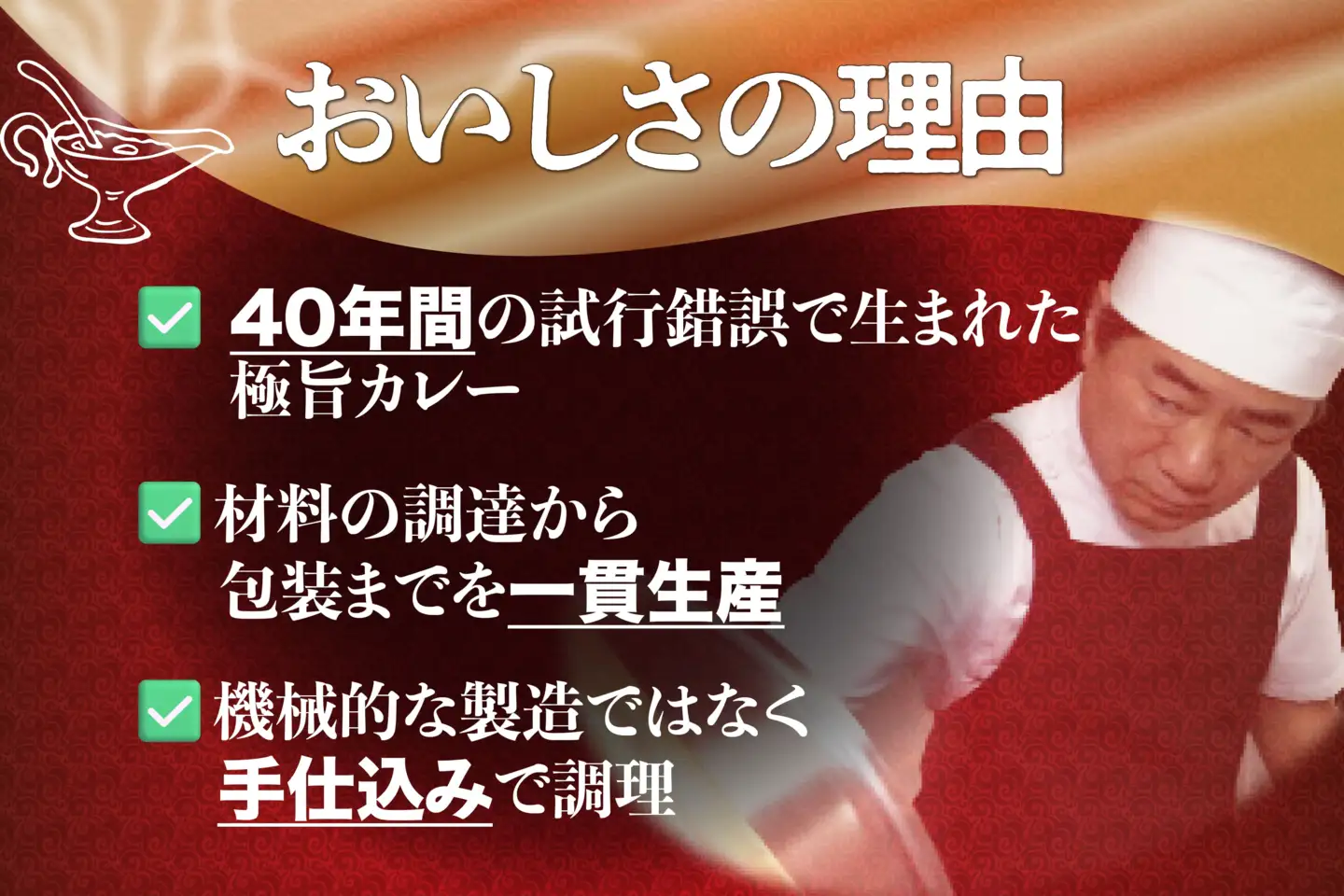 カレー セット 平戸 ビーフカレー 12食 辛口 3回 定期便 計36食