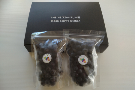 ブルーベリー 冷凍 250g 4パック 計 1kg
