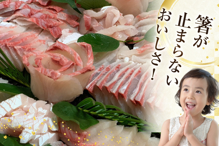 刺身 ヒラマサ 平戸なつ香 ヒラス 丸々 1匹 約4kg