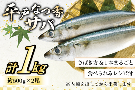 鯖 刺身 平戸なつ香 サバ 約500g 2尾