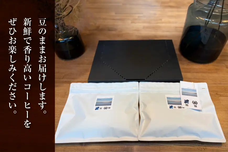 スペシャルティコーヒー コーヒー豆 珈琲豆 セット ドリップ 12回 定期便 スペシャルティブレンド ビーンズタイプ 240g 総計2.88kg