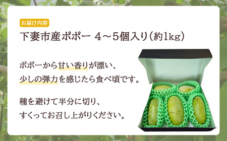 フルーツ R8 先行予約 ポポー 約1kg 4～5個 幻のフルーツ