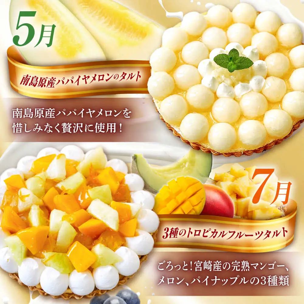 【奇数月 5回定期便】 季節の タルト 定期便 / タルト フルーツ 旬 スイーツ メロン 果物 モンブラン チーズタルト / 南島原市 / アトリエジジ[SAA035]