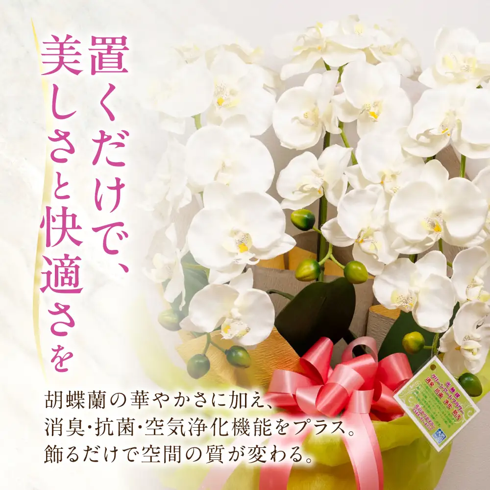 光触媒造花胡蝶蘭 5本立（ピンク)｜胡蝶蘭