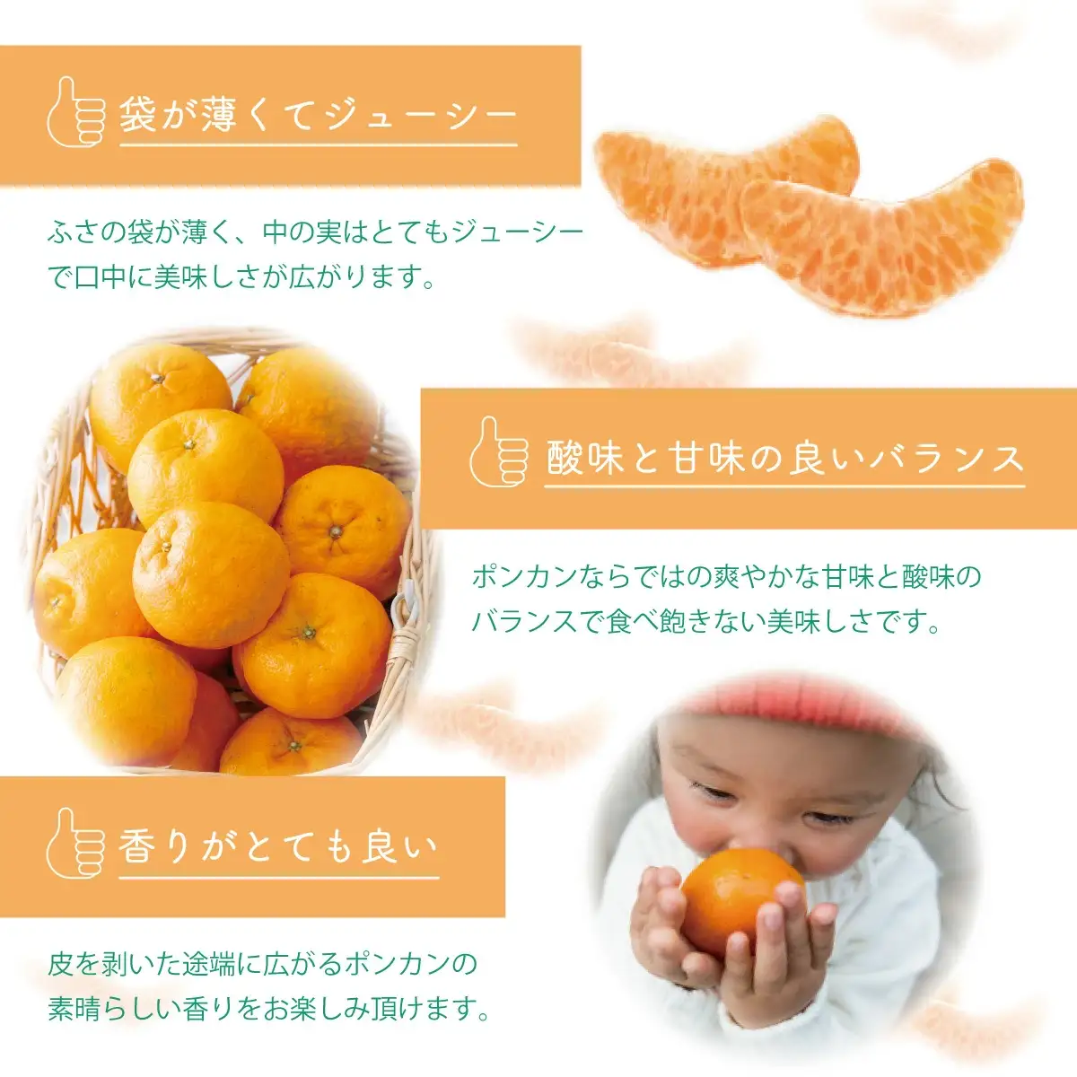 【先行予約】訳ありポンカン＜5kg＞ 　[TS-03] 【ファーム手島】