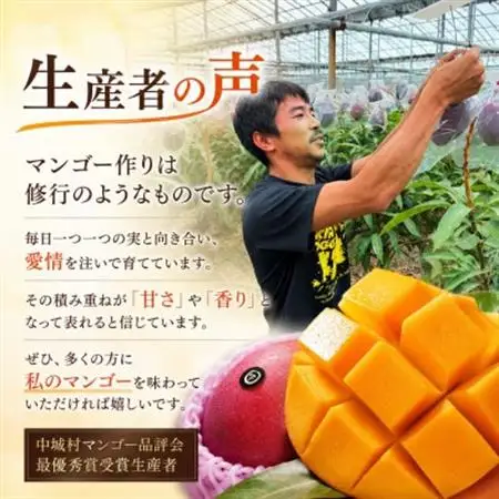 【2027年6月下旬から順次発送】マルトウマンゴーのプレミアム アップルマンゴー2kg【配送不可地域：離島】【1670285】