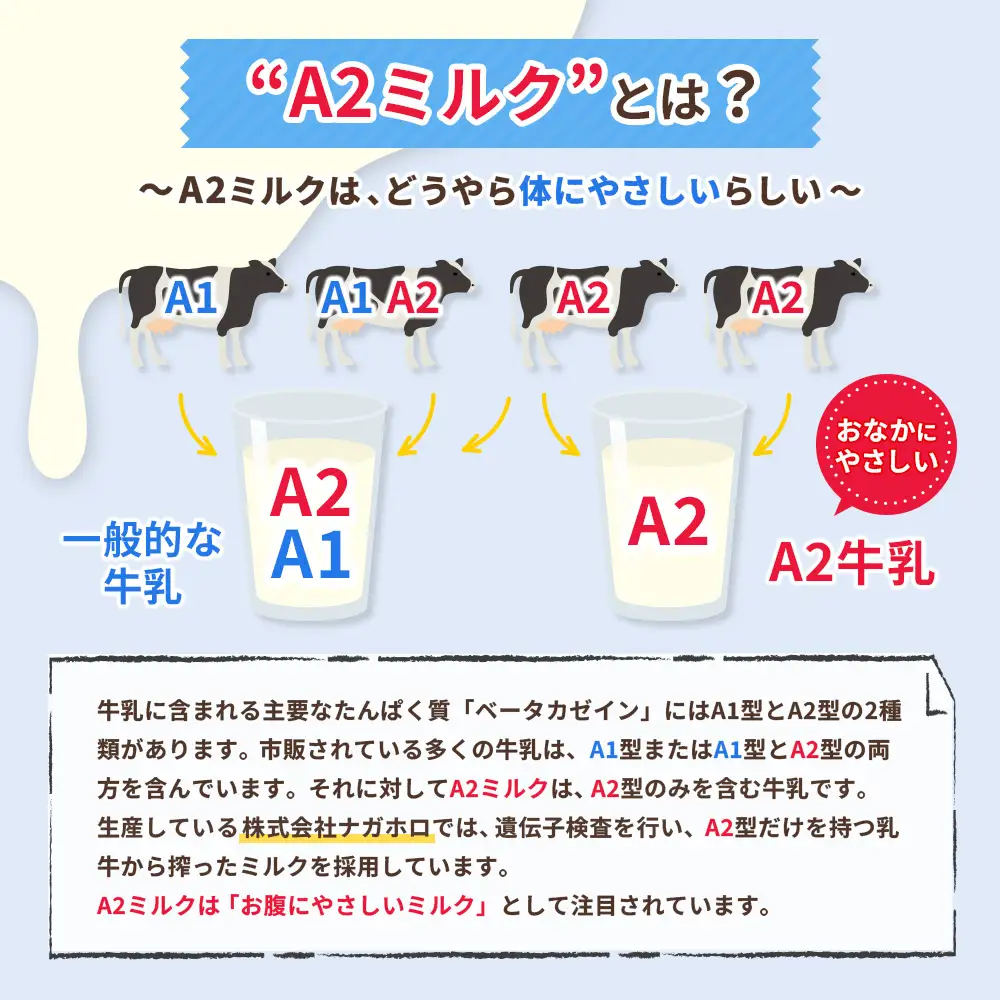 【定期便：全3回】なかしべつ牛乳プレミアム NA2 MILK 1000ml×4本【1405701】