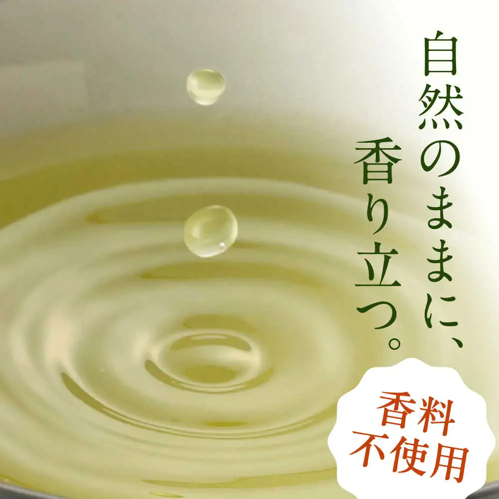 【3回定期便】緑茶ペットボトル 500ml×24本入 / 白川園本舗[AWAT006]お茶緑茶