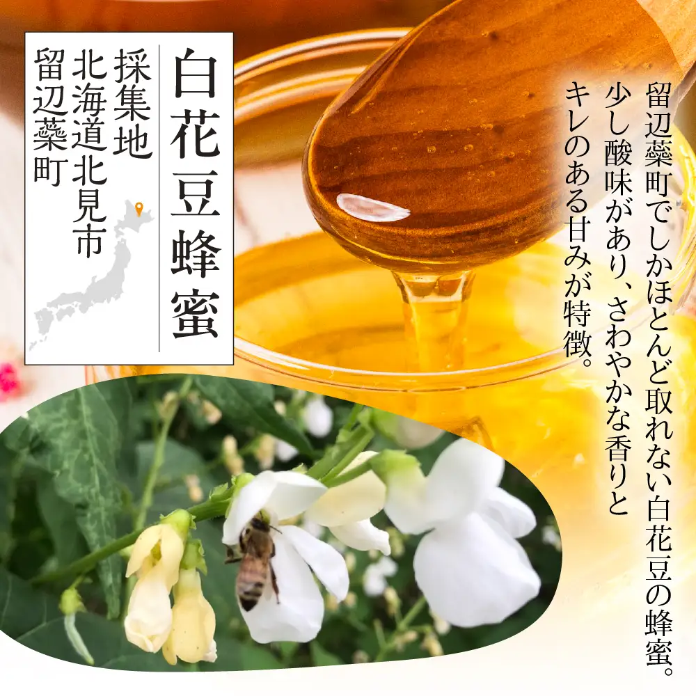 はちみつ 2種セット 450ｇ×2本 純粋国産 ｜はちみつ