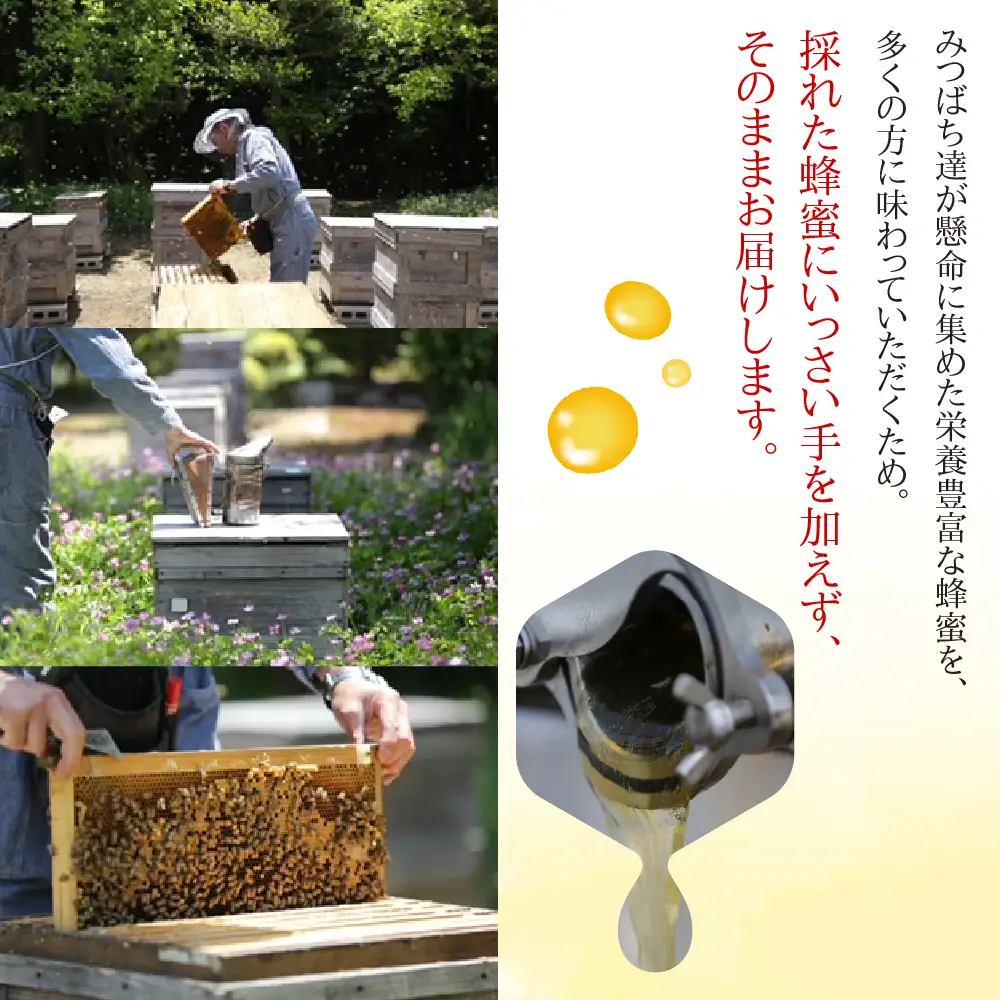 はちみつ 4種類セット 純粋国産｜はちみつ