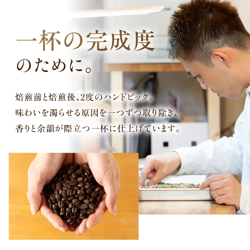 超希少種 コーヒー 豆 エチオピア ゲイシャ ナチュラル 200g｜コーヒー