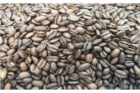 粉 甘味たっぷりスペシャルティコーヒー飲み比べセット 200g×4袋