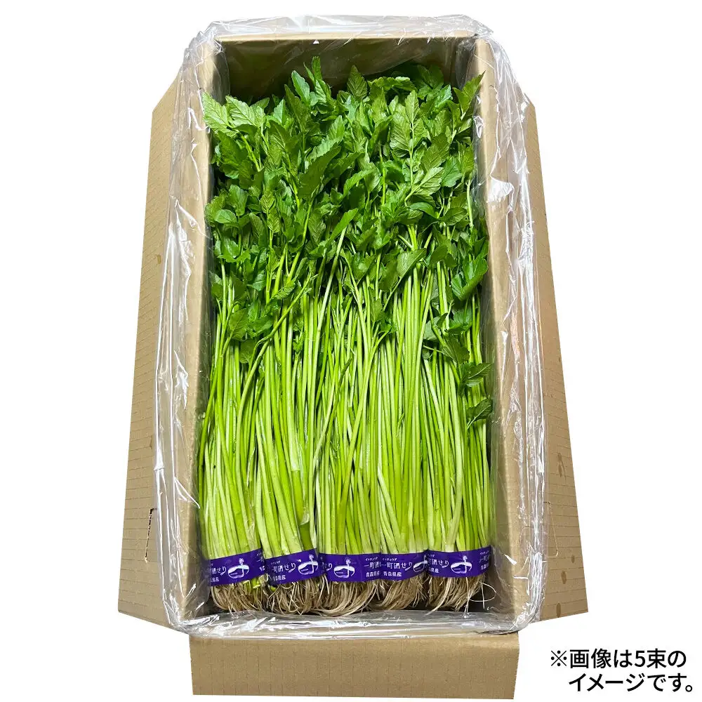【26年11月～発送】野菜 一町田せり 約520g（約130g×4束）せり 七草 先行受付