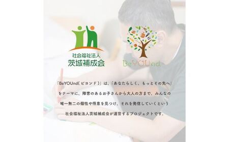 690 ねりねりマグネット 5種セット 乗り物 障害がある方の手作りマグネット【社会福祉法人 茨城補成会】