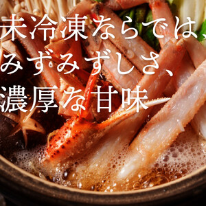 【2026年11月発送】特撰 松葉がに（茹）【訳あり】500g超のサイズ  3杯