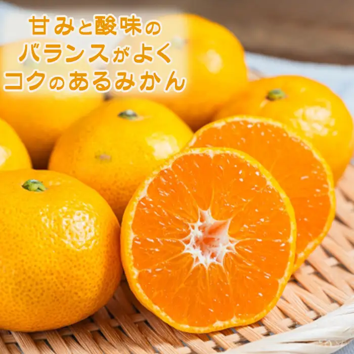 【鴨川の柑橘】甘みと酸味の絶妙なバランス 温州みかん『宮川早生』10kg 《数量限定》《先行予約》《12月上旬発送》 早生みかん 柑橘 サイズ不揃い 産地直送 冬みかん [古泉農園][0019-0011]