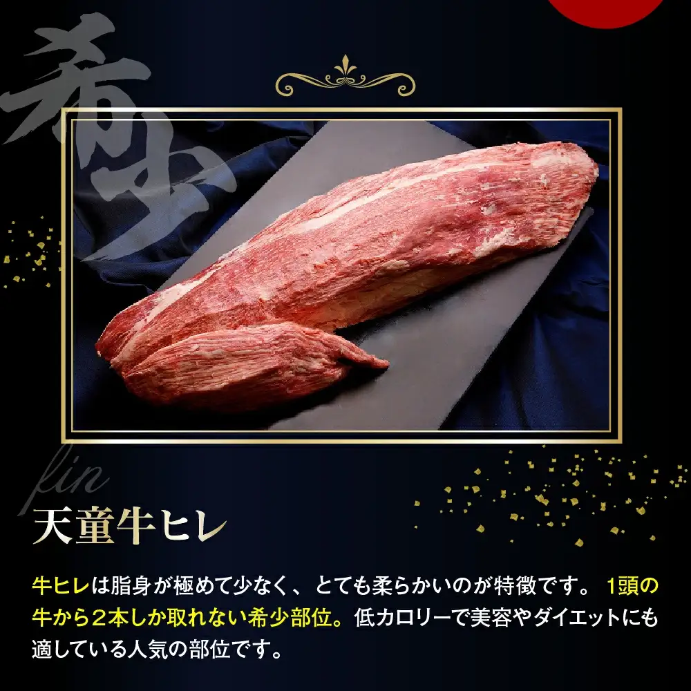 天童牛 ヒレ 1本分 ( シャトーブリアン ＆ ひれ )  冷凍 ブランド牛 山形牛 牛肉