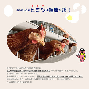 かっぱの健卵 20個 3か月定期便【大熊養鶏場】たまご 卵 玉子 タマゴ 生卵 こだわり 卵かけご飯 TKG 国産 お取り寄せ 北海道 比布町 ぴっぷ 1006-005