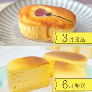 【4回定期便】〈洋菓子館ベルジェノア〉季節ごとに届く洋菓子定期便