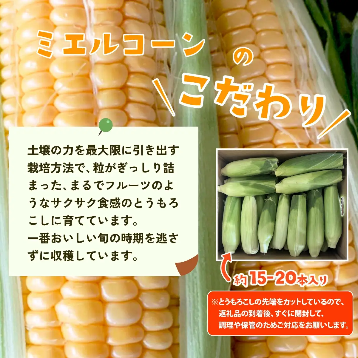とうもろこし ミエルコーン 約6kg 茨城県産 トウモロコシ